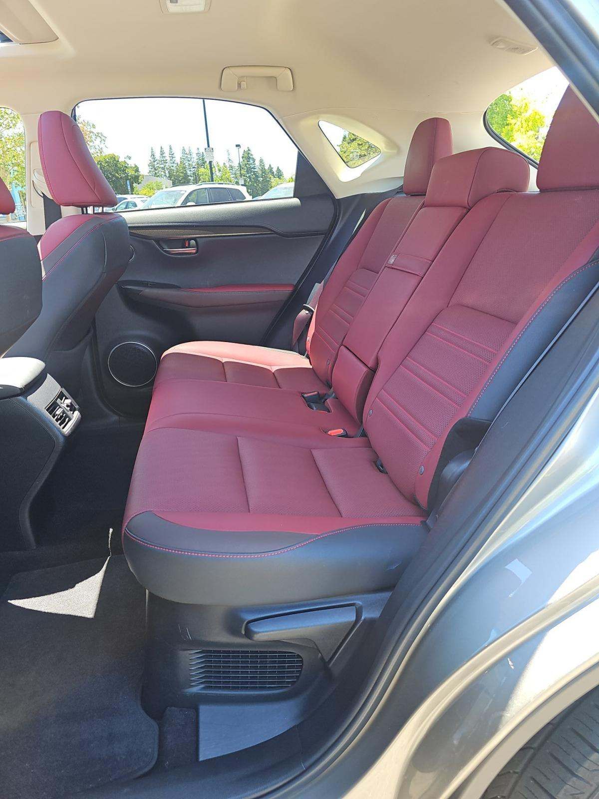 2018 LEXUS NX 300H Luxury photo 9