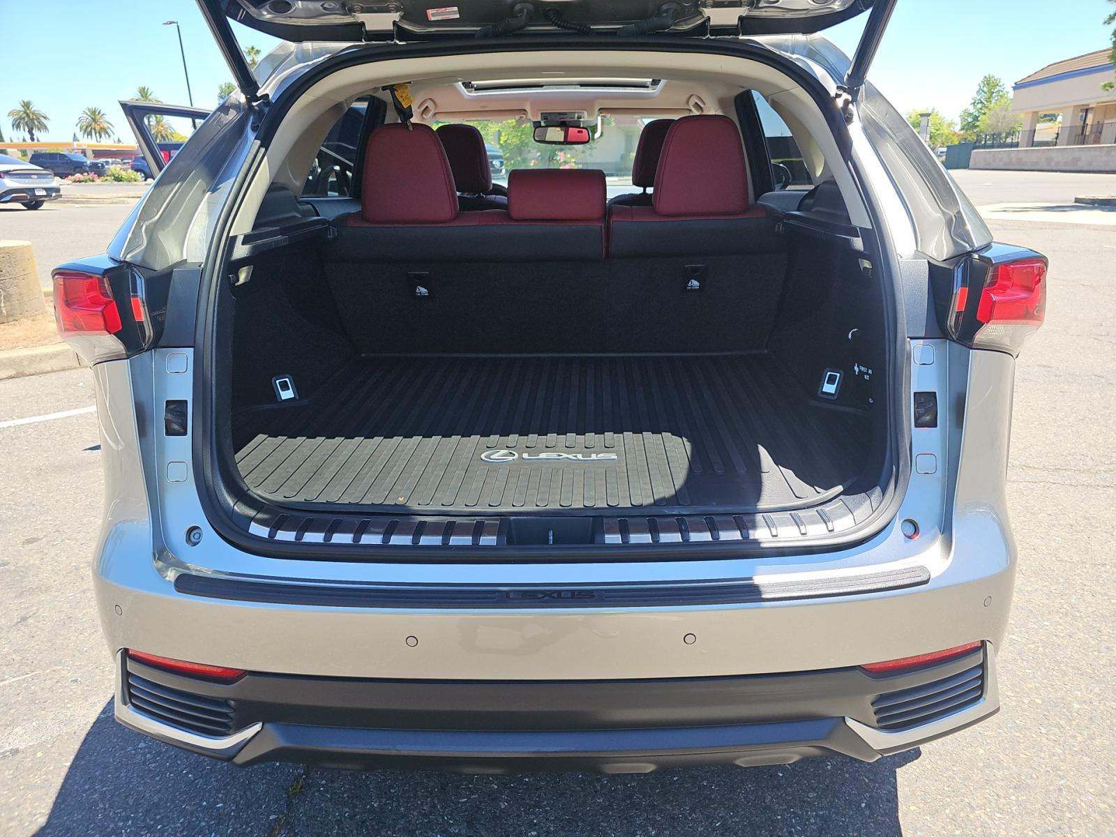 2018 LEXUS NX 300H Luxury photo 16
